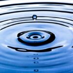 The Ripple Effect: How Leadership Begins Within