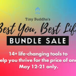 Coming Soon: 14+ Life-Changing Tools for the Price of One