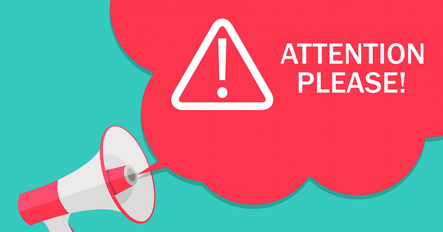 The Art and Value of Paying Attention