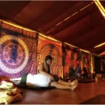 Can Psychedelic Experiences Really Improve Your…