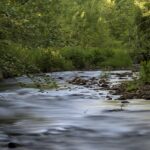 From River to Stream: How Vulnerability Becomes Illness