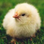 When Body Image and Menopause Mix